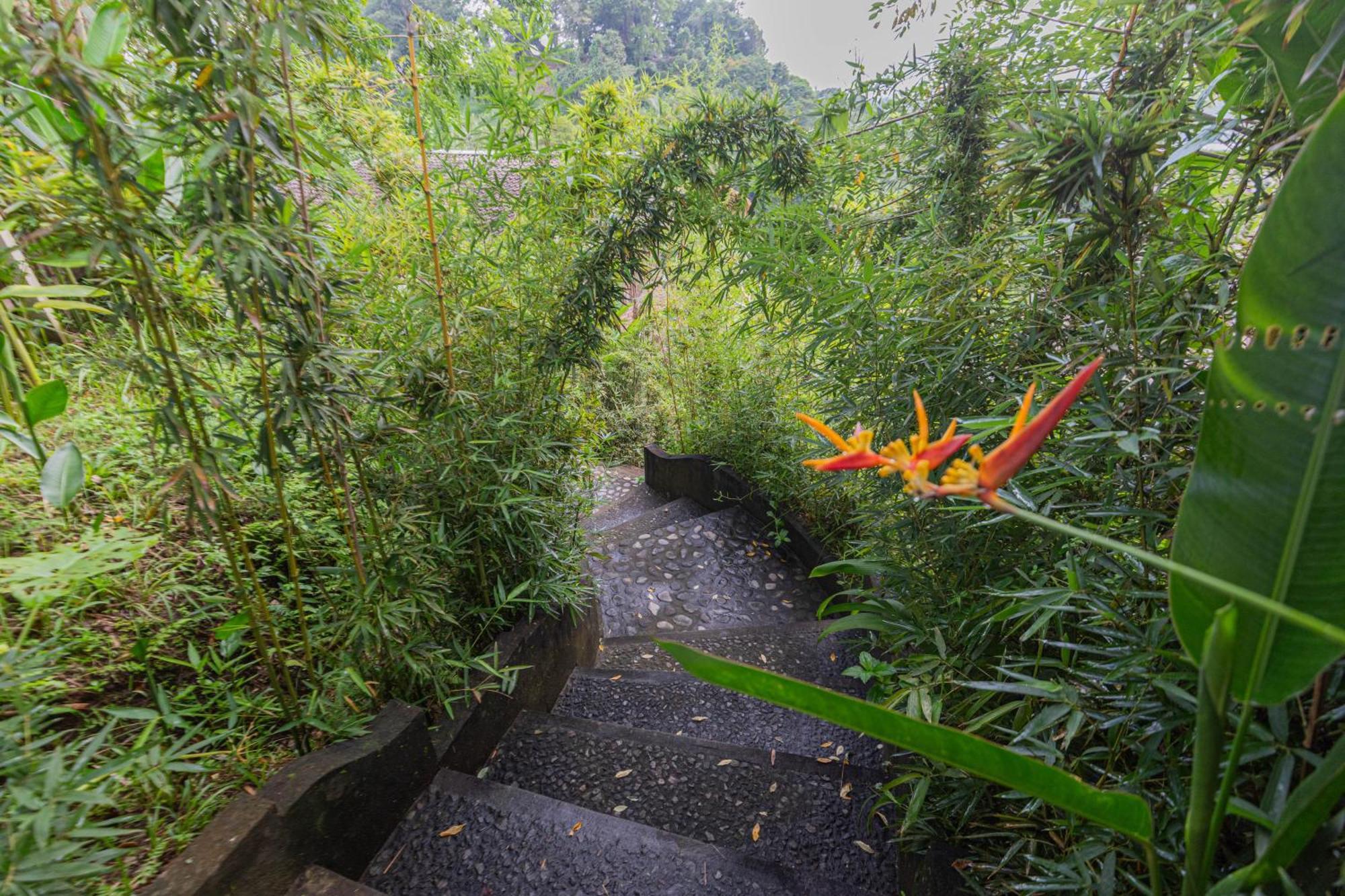 Vila Shigar Livin Bali Sidemen  Exteriér fotografie